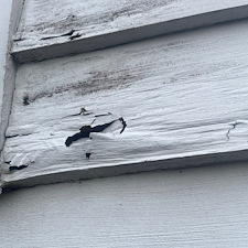 Termite-DamageRot-Repair-Exterior-Painting 5